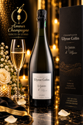 Ulysse Collin Le Jardin V17 0,75